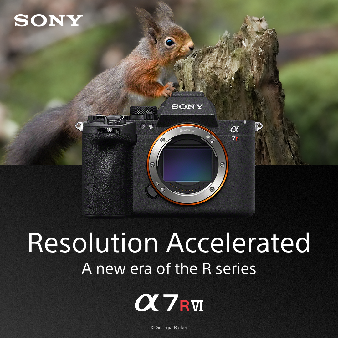 מכירה מוקדמת - מצלמת SONY ALPHA 7R VI