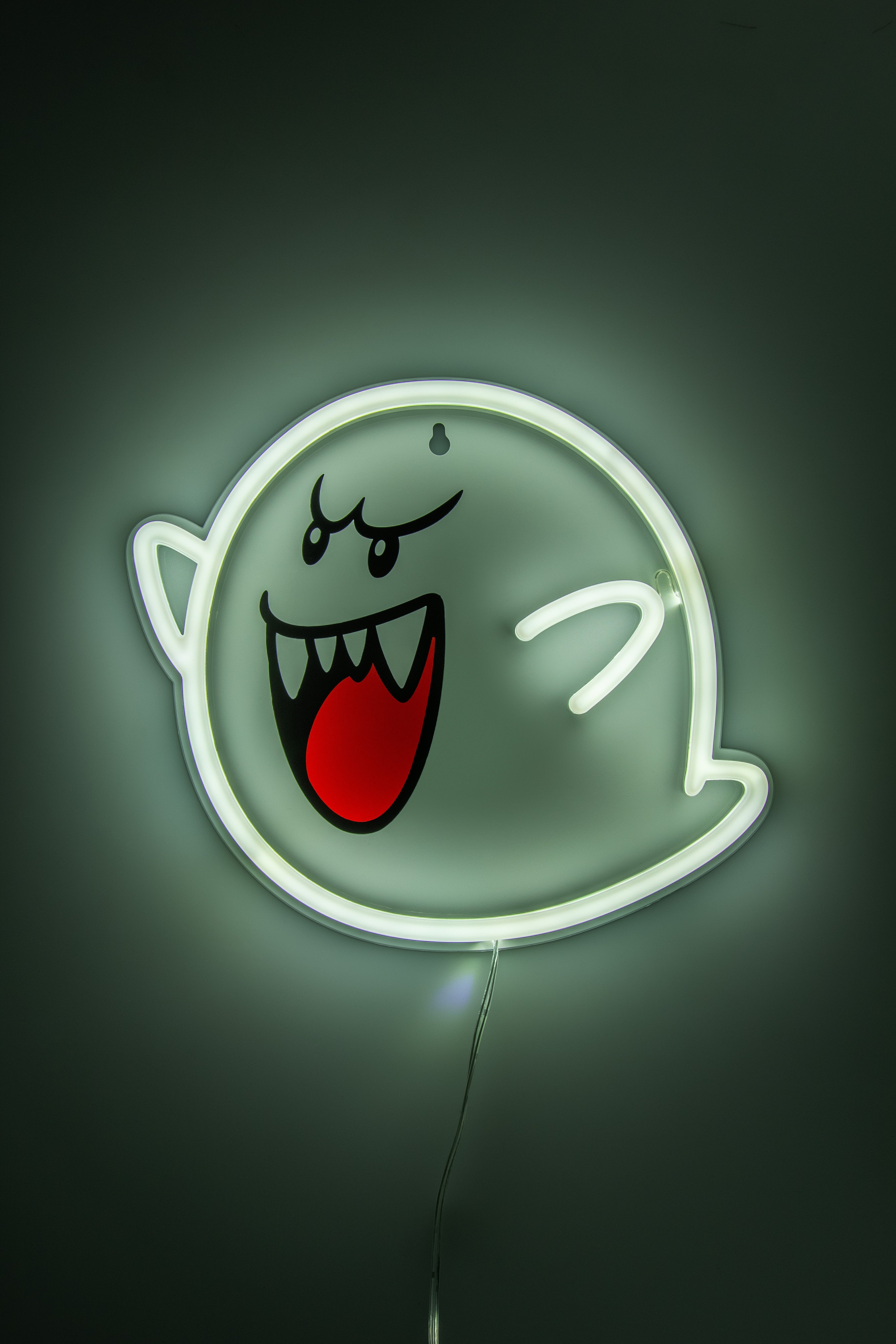 תאורת ניאון Boo LED Neon Light